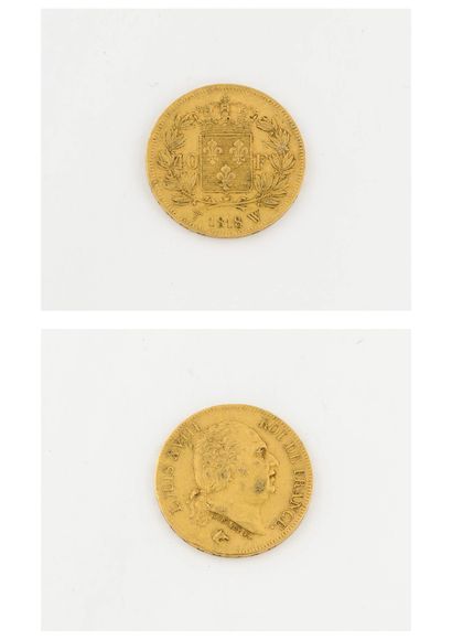 France Pièce de 40 francs or, Louis XVIII, 1818 Lille.

Poids net : 12.8 g.

Rayures...