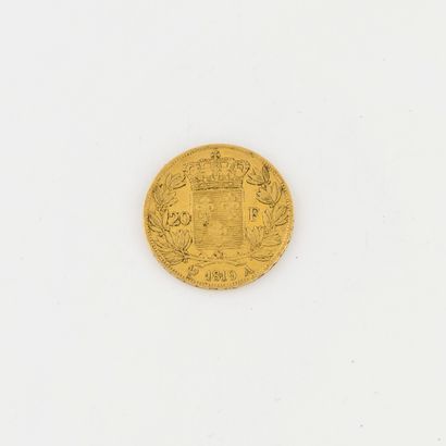 France 20 gold franc coin, Louis XVIII, 1819, Paris

Net weight: 6.3 g. 

Wearing...