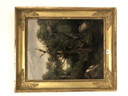 Jules COIGNET (1798-1860) Etude de chêne (Fontainebleau).
Huile sur papier marouflé...