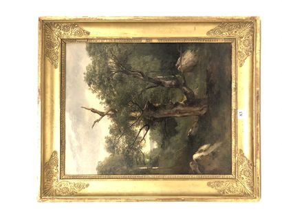 Jules COIGNET (1798-1860) Oak study (Fontainebleau). 
 Oil on paper glued on cardboard.
Wax...