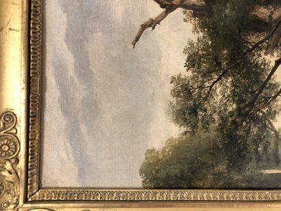 Jules COIGNET (1798-1860) Oak study (Fontainebleau). 
 Oil on paper glued on cardboard.
Wax...