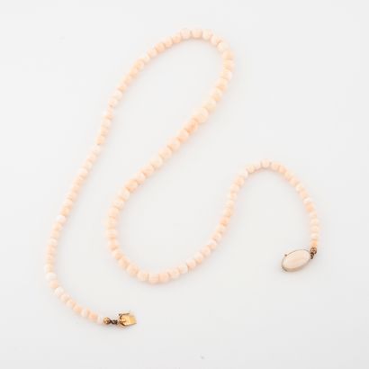 null Collier formé d'une chute de billes de corail blanc baigné façon peau d'ange....