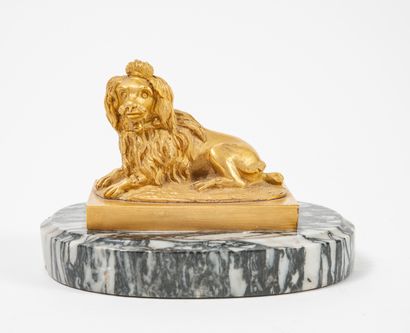 null Paperweight with a King Charles dog. 

Proof in gilt bronze on an oval base...