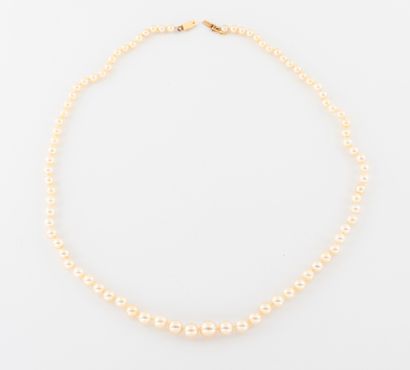 null Necklace made of white cultured pearls. 

Clasp in yellow gold (750) with eight...