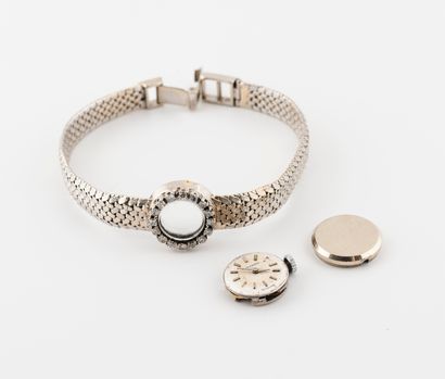 MOVADO Montre bracelet de dame en or gris (750).

Boîtier rond.

Lunette ornée de...