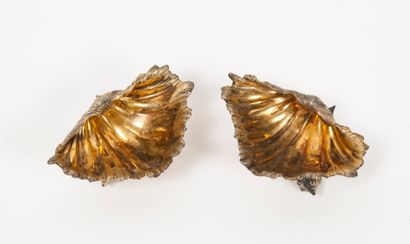 ANGLETERRE, milieu du XIXème siècle Pair of tridacne shell-shaped saltshakers resting...