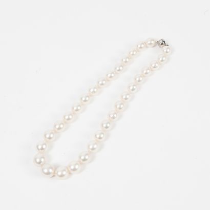 Important collier de trente-et-une perles...