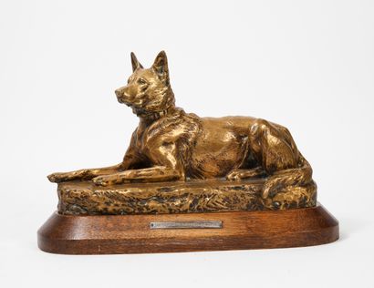 D'après Louis RICHE (1877-1949) German shepherd at rest. 

Proof in bronze. 

Signed...