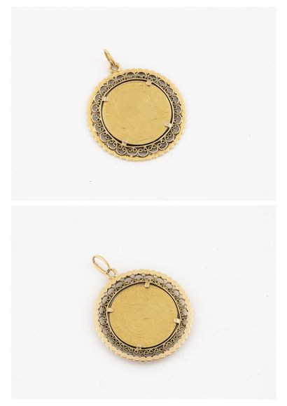 Yellow gold pendant (750) holding a 20 francs...