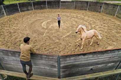 Un séjour d’exception au Haras de la Cense, au milieu des chevaux avec les dresseurs, leader dans l'équitation éthologique