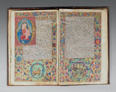 null CARTE exécutoire de Noblesse du XVIème siècle. Manuscrit sur peau de vélin en...