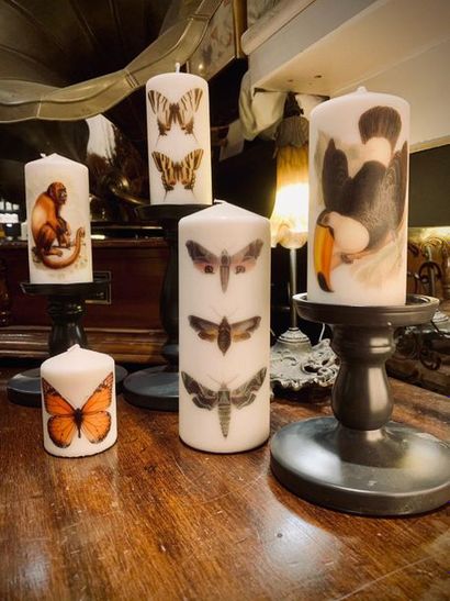Cinq bougies tatouées du Cabinet de cire Assortiment de 5 bougies illustrées 

1...