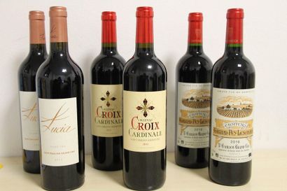 20 bouteilles de St Emilion Grand Cru de différents domaines 

1 bouteille Château...