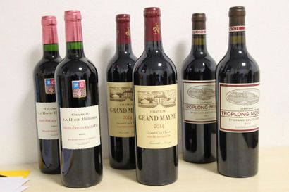 20 bouteilles de St Emilion Grand Cru de différents domaines 

1 bouteille Château...