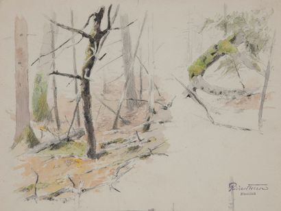 Richard FRIESE (1854-1918) Etude de sous-bois.

Crayon noir et aquarelle sur papier.

Cachet...