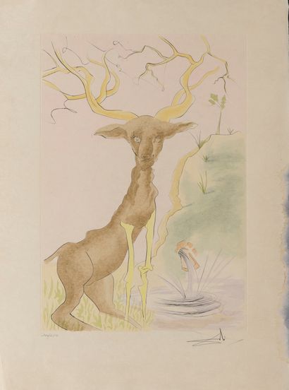 Salvador DALI (1904-1989) The stag seeing himself in the water, 1974.

Plate from...