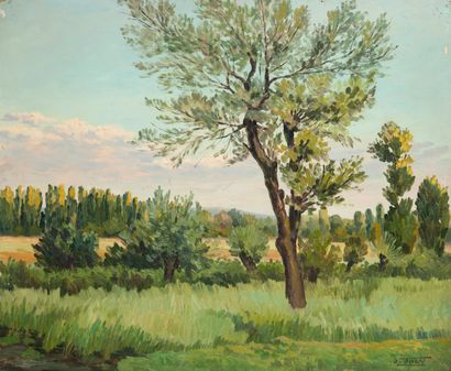 Jean JOLY (1900-1952) Landscape of Bourbonnais. 

Oil on isorel. 

Signed lower right....