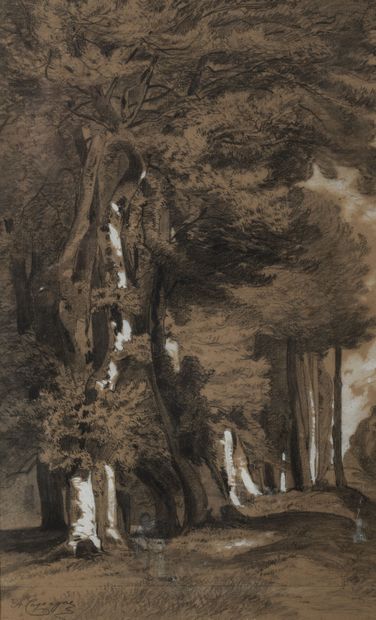 Arnaud Théophile CASSAGNE (1823-1907) Paysage forestier.

Fusain et rehaut de gouache.

Signé...