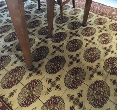 Dans le goût de Boukkhara, milieu du XXème siècle Tapis en laine à décor de pieds...