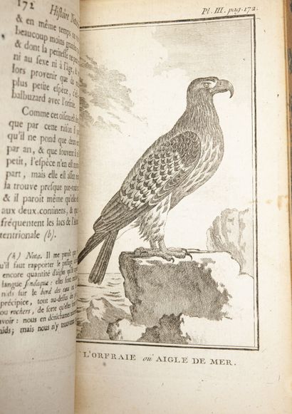 Comte Georges-Louis Leclerc de BUFFON (1707-1788) Histoire naturelle des oiseaux....