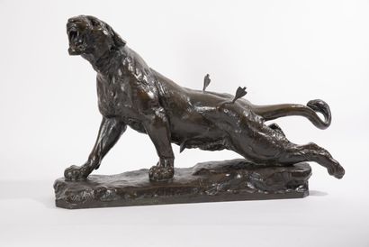 D'après Charles VALTON (1851-1918) Tigre blessé. 

Epreuve en bronze à patine brune...