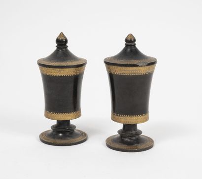 ANGLETERRE (?), seconde moitié du XIXème siècle Paire de petits vases couverts sur...
