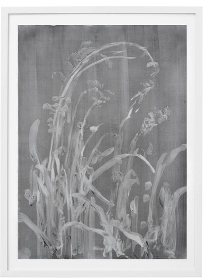 FABRICE CAZENAVE 
Herbarium (5) , 2020

Charcoal on stone paper 

30 x 42 cm 

Framed...