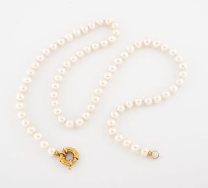 null Collier de perles de culture blanches choker. 

Fermoir en or jaune (750) anneau...