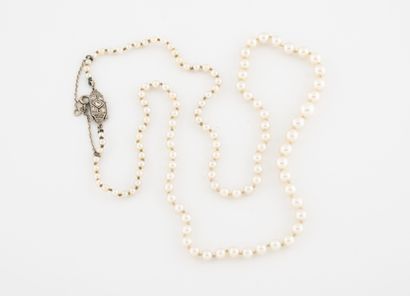 null Collier de perles probablement fines en chute.

Fermoir cliquet en or gris (585)...