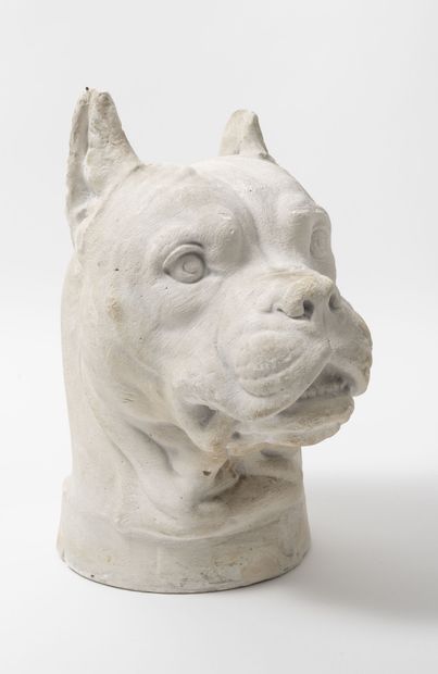 Pierre Louis ROUILLARD (1820-1881) Study of a dog's head. 

Proof in plaster. 

Signed...