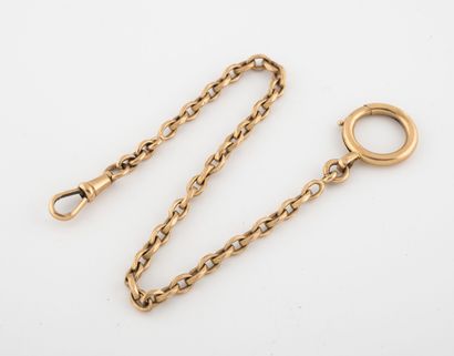 null Yellow gold (750) watch chain with faceted oval mesh. 

Clasp or ring.

Weight...