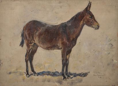Henri Emilien ROUSSEAU (1875-1933) Etude d'âne, "Bibi".

Huile sur panneau. 

Signé,...