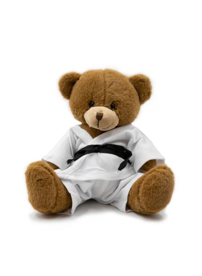 Teddy RINER Teddy bear*. *Personalized dedication from Teddy Riner