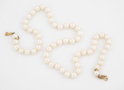  Collier de perles de culture blanches choker. 
Fermoir cliquet en or jaune (750)...