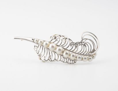 null Brooch feather in white gold (750) decorated with white cultured pearls in fall....