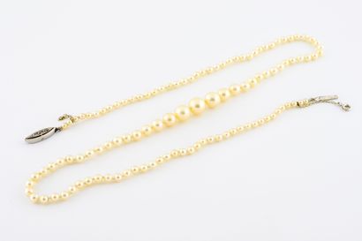  Necklace of white cultured pearls in fall. 
Clasp in platinum (850) adorned with...