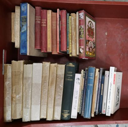 EUROPE, XIXème-XXème siècles 5 mannettes de livres :

- deux de livres pour la Jeunesse,...