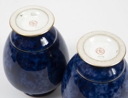 Manufacture nationale de SEVRES, fin du XIXème siècle Pair of small pear-shaped vases...
