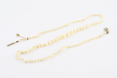 null Necklace of white cultured pearls in fall. 

Ratchet clasp with safety chain....