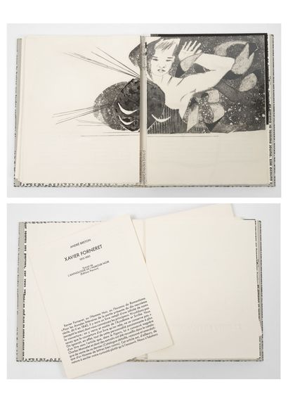 FORNERET Xavier The diamond of the grass.

Etchings by Proszynska.

Les bibliophiles...