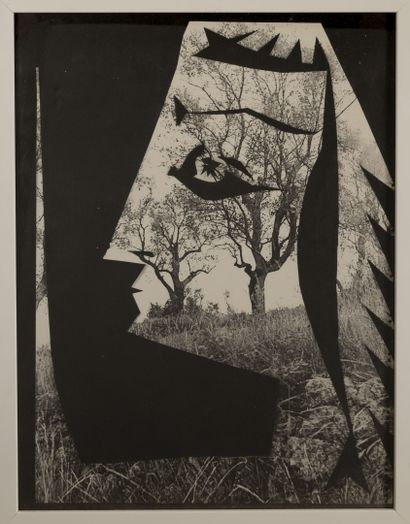 D'aprés Pablo Picasso (1881-1973) Jacqueline in the trees. 
Lithograph in black and...