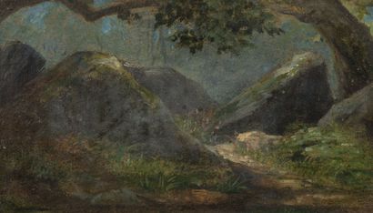 Ecole de la seconde moitié du XIXème siècle Rocks in the undergrowth.

Oil on paper...