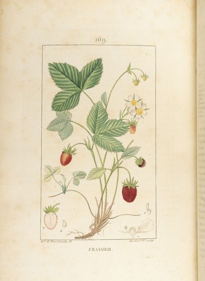 CHAUMETON, POIRET, CHAMBERET Medical flora.

Paris, Imp. Panckoucke, 1841-1845.

7...