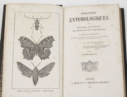 3 vols. :

- Abbé J.-J. BOURASSE

* Entomological...