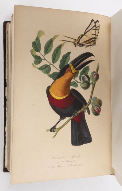 Dr. Emm. LEMAOUT Le jardin des plantes, description complète, historique et pittoresque...