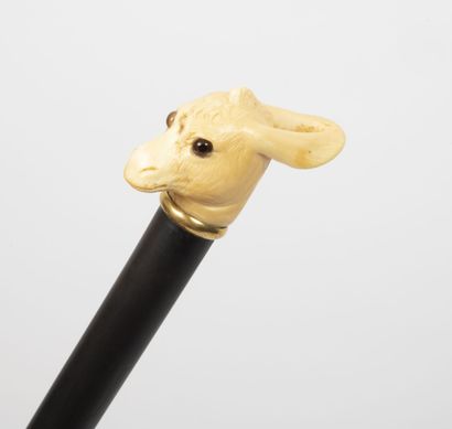 null Cane with a donkey's head motif.

Cane in wood, head in resin.

H. 90 cm.

Small...