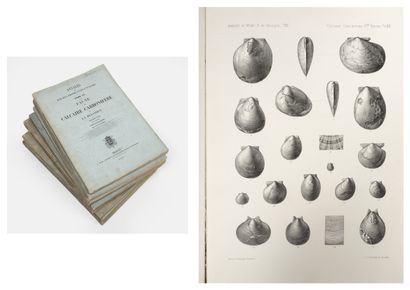 L.G. DE KONINCK Annals of the Royal Museum of Natural History of Belgium. 

F. Hayez...