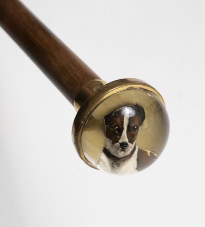 null Cane with knob decorated with a half-sphere in sulfur with dog head.

Wooden...