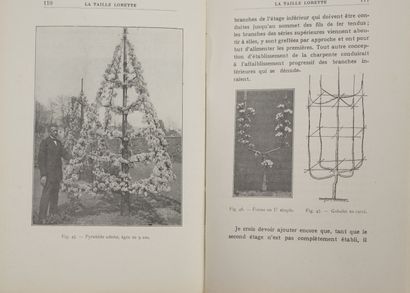 Botanique ou Horticulture 4 vols. : 

- Count LELIEUR

La Pomone françoise ou Traité...