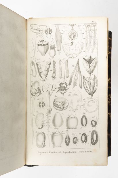 null 5 vols. :

- MILNE DEWARDS

Cahiers d'Histoire naturelle.

Paris, Masson, 1857....